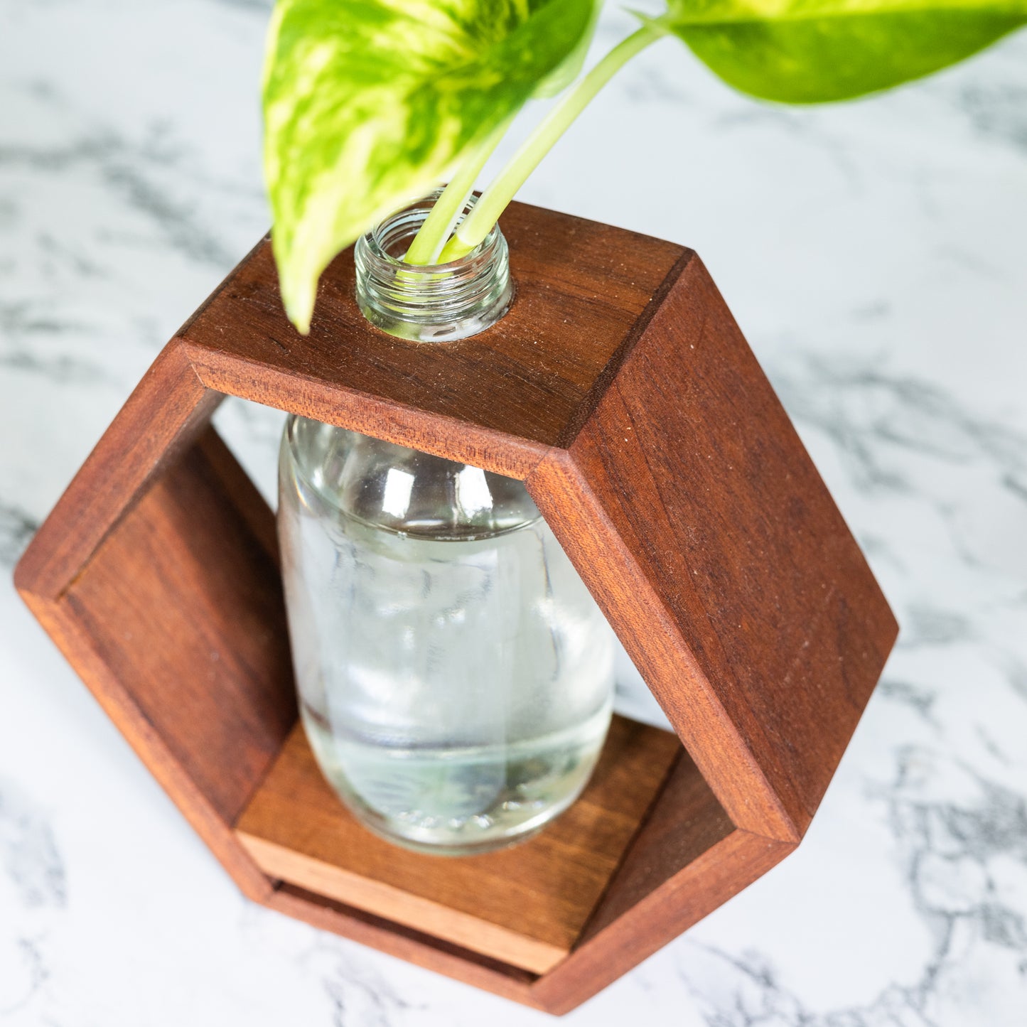 Propagation Station