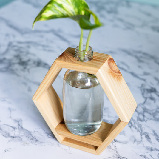 Propagation Station